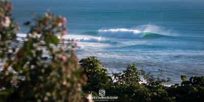 Order #: 0038 wavestaiwan4401.jpg